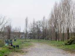 0016__ri20427.jpg