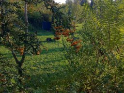 foto_19